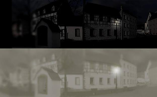 Así es como ven realmente los gatos