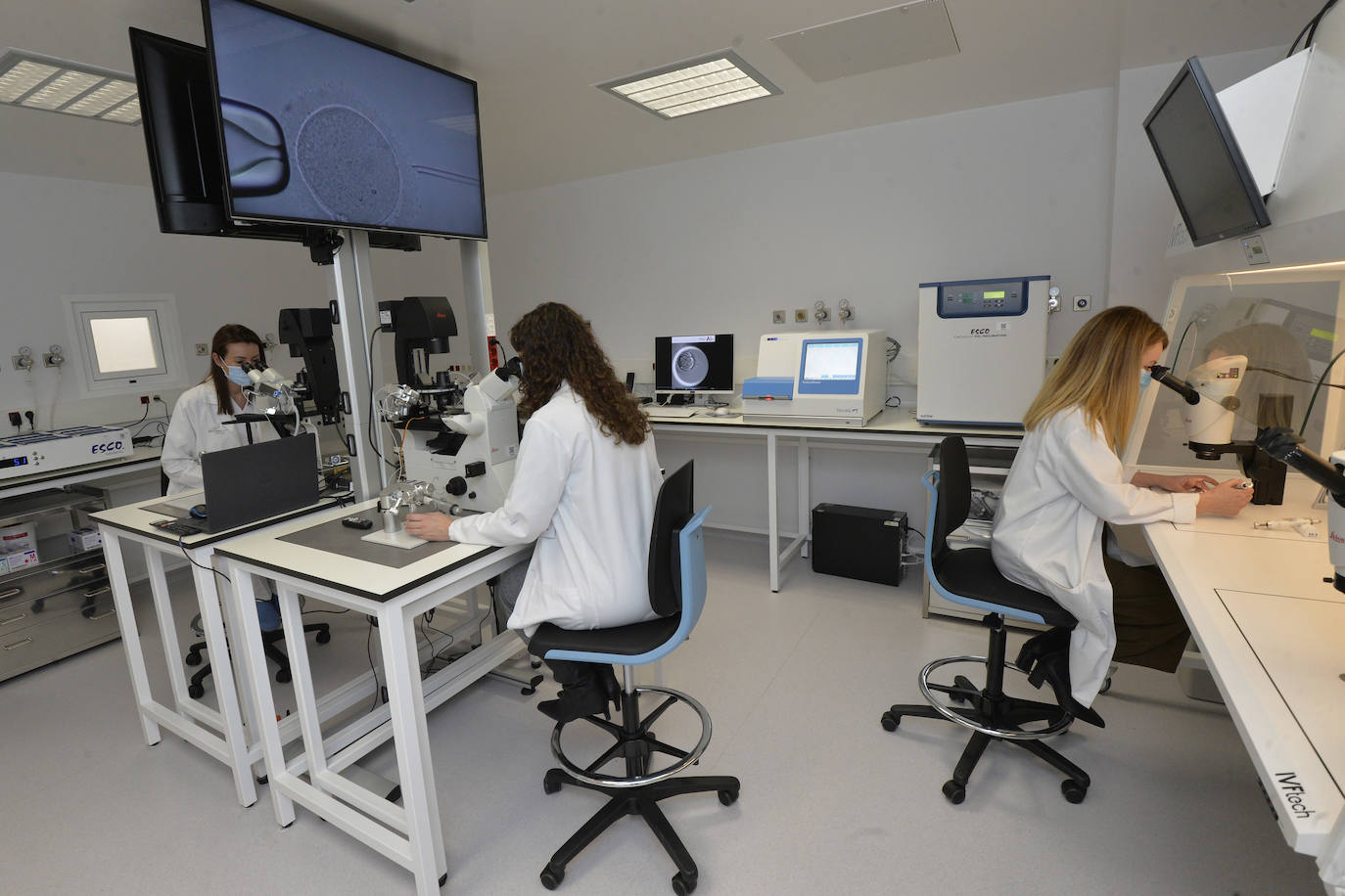Fotos: Inauguración del nuevo laboratorio de reproducción asistida de La Arrixaca