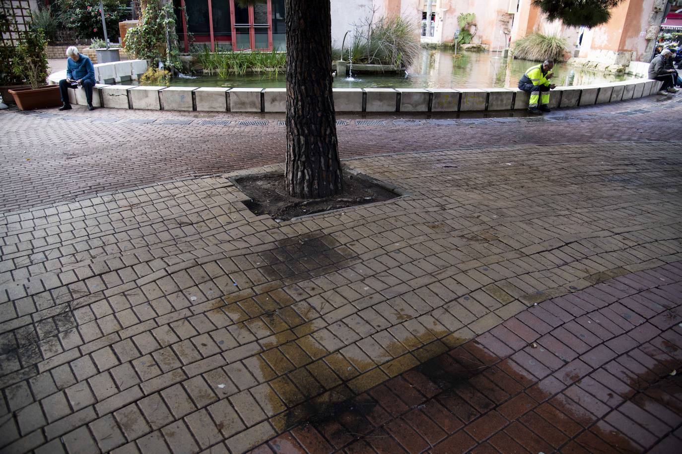 Fotos: Arrecian las quejas por los desperfectos en el pavimento de decenas de calles y plazas de Cartagena