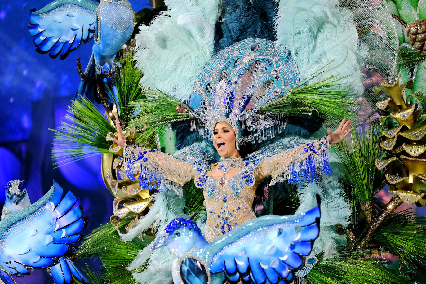 Fotos: Las Palmas ya tiene Reina