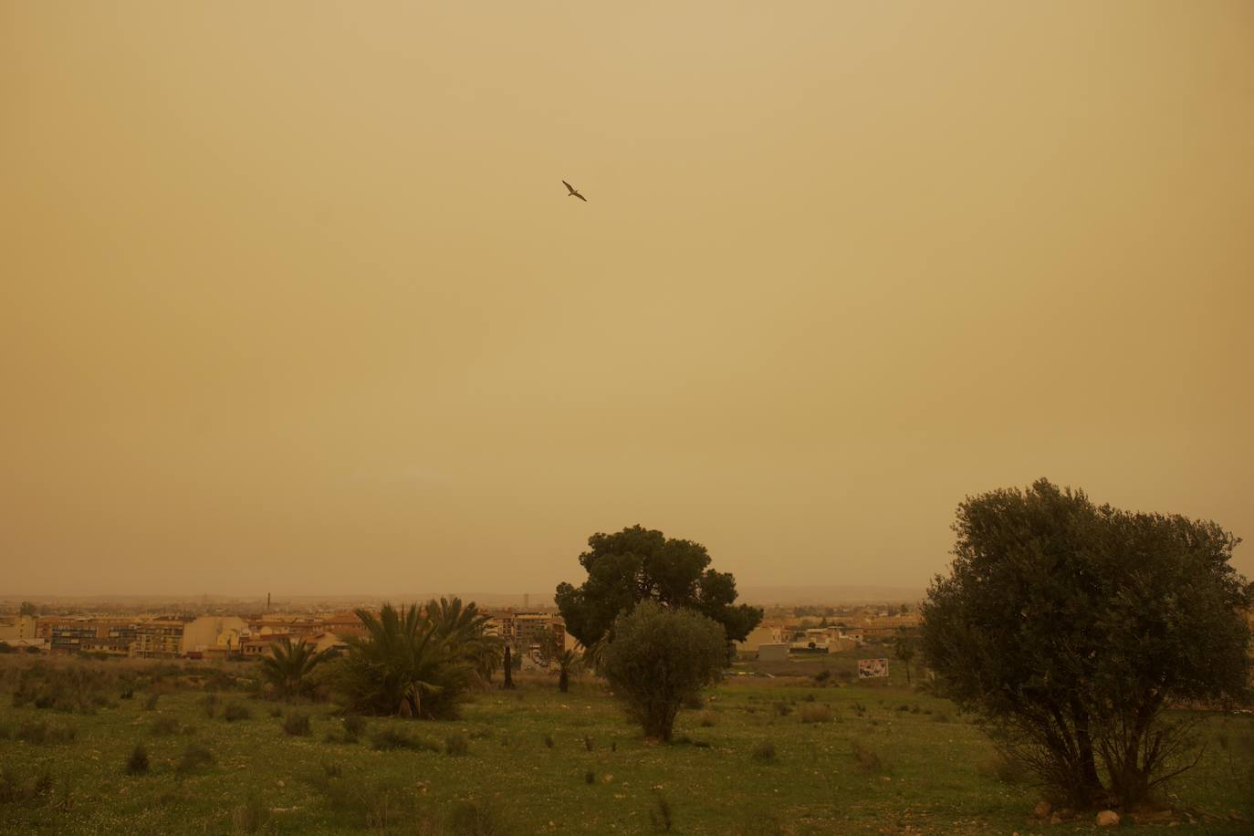 Fotos: La calima, el fenómeno meteorológico que tiñe de naranja los cielos de la Región de Murcia