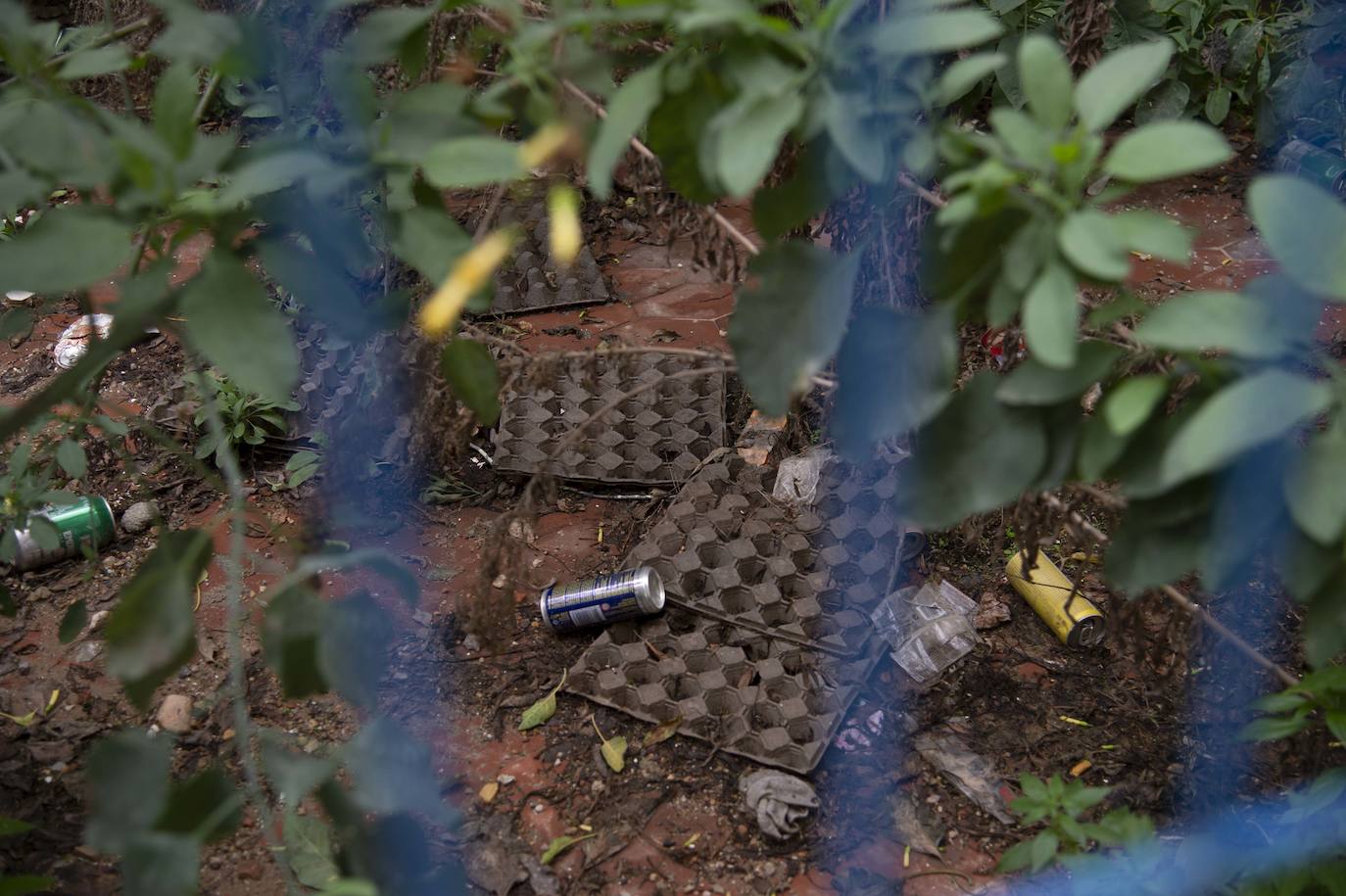 Fotos: Solares de Cartagena acumulan basura, maleza e insectos