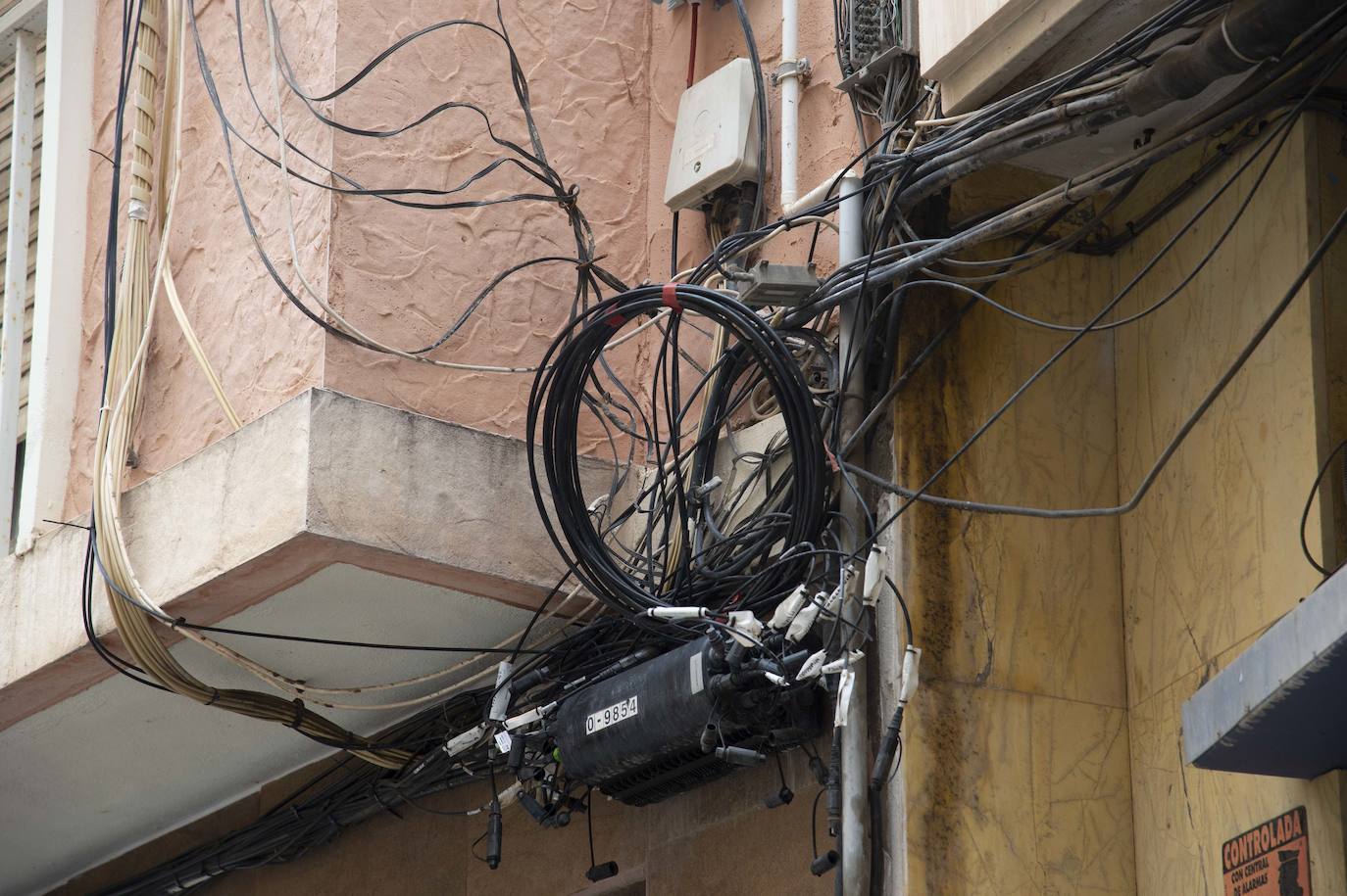 Fotos: Solares de Cartagena acumulan basura, maleza e insectos