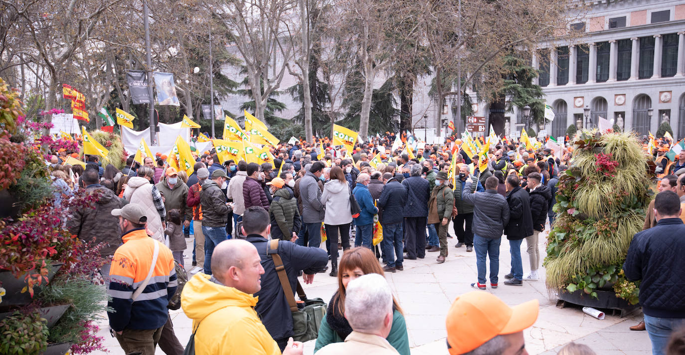 Fotos: Agricultores, ganaderos y cazadores murcianos participan en la manifestación de Madrid