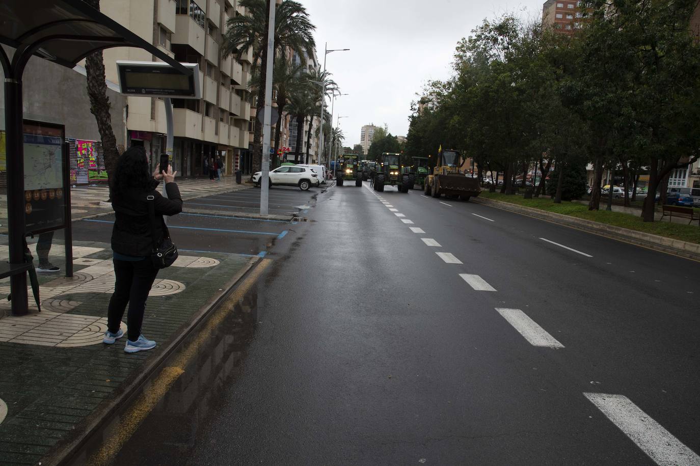 Fotos: Centenares de camioneros colapsan las calles de Cartagena, en imágenes