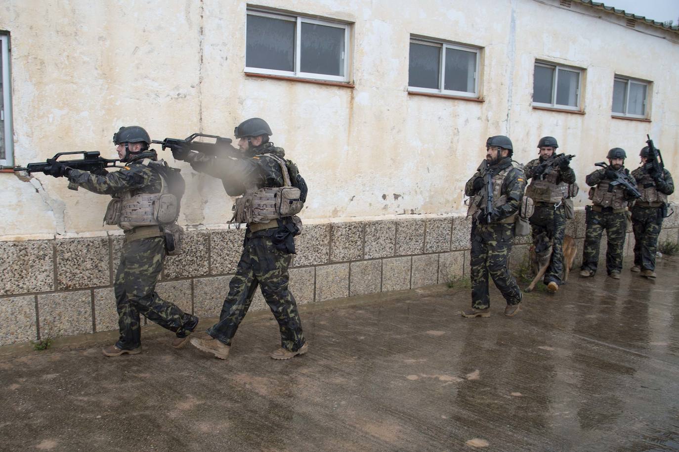 Fotos: Perros adiestrados para salvar vidas