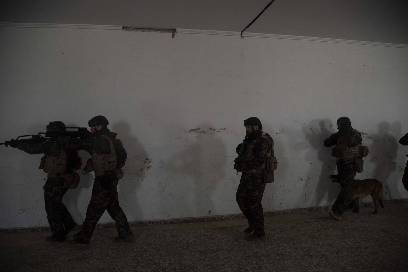 Fotos: Perros adiestrados para salvar vidas