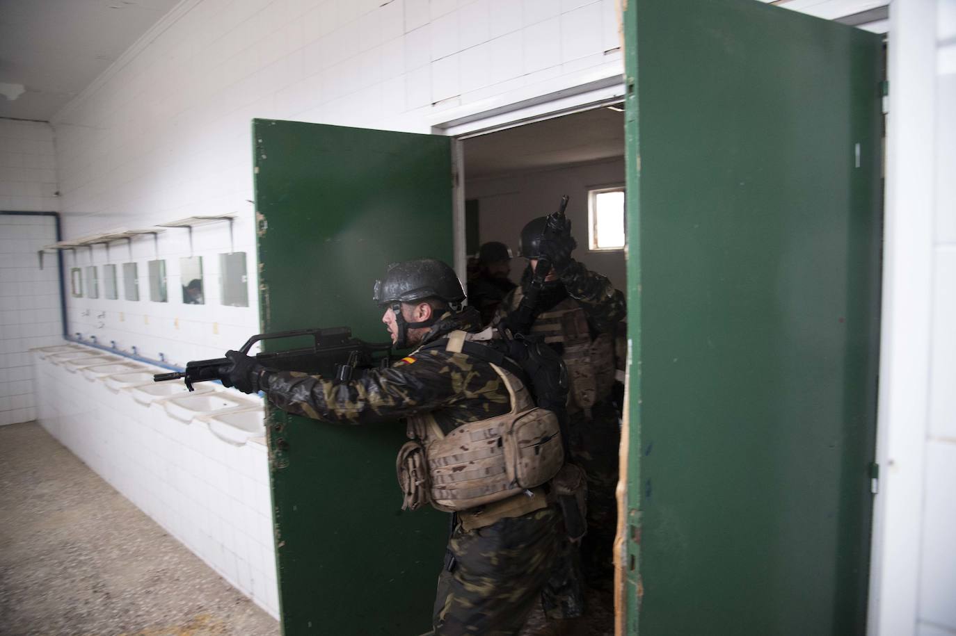 Fotos: Perros adiestrados para salvar vidas