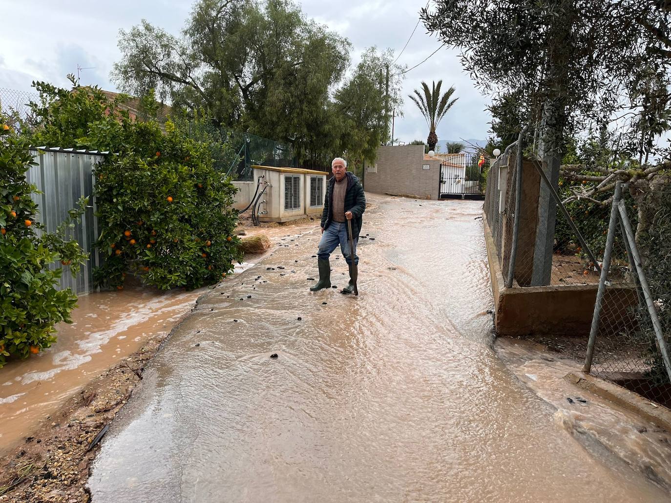 Fotos: La lluvia deja sótanos inundados, vallas reventadas y aves de corral muertas en Sierra Espuña
