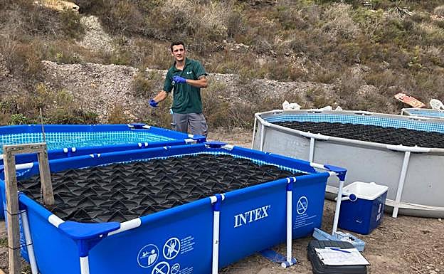 Piscina portátil de ensayo de dispositivos EMD de Ambiente Europeo. 