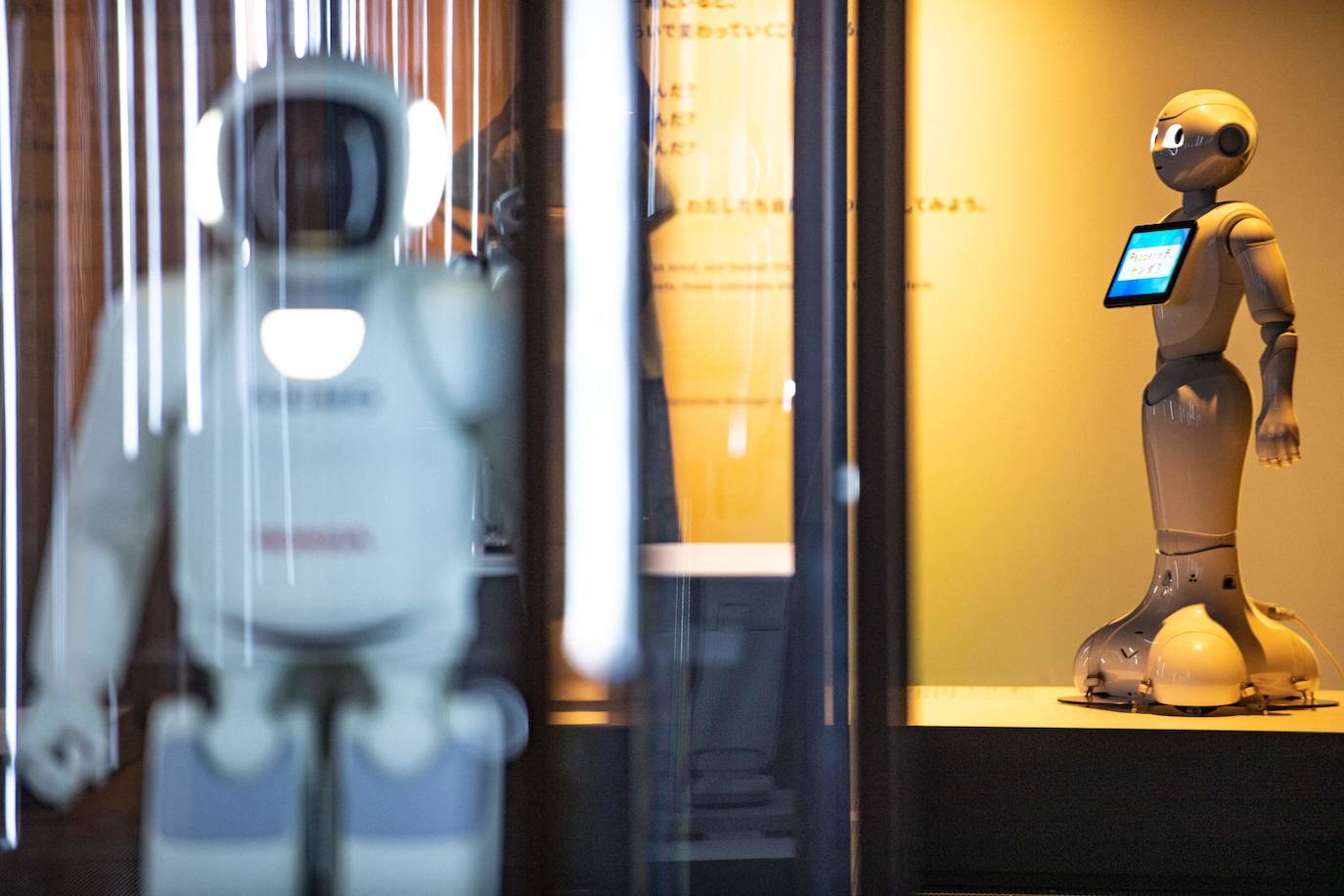 Fotos: Robots y humanos