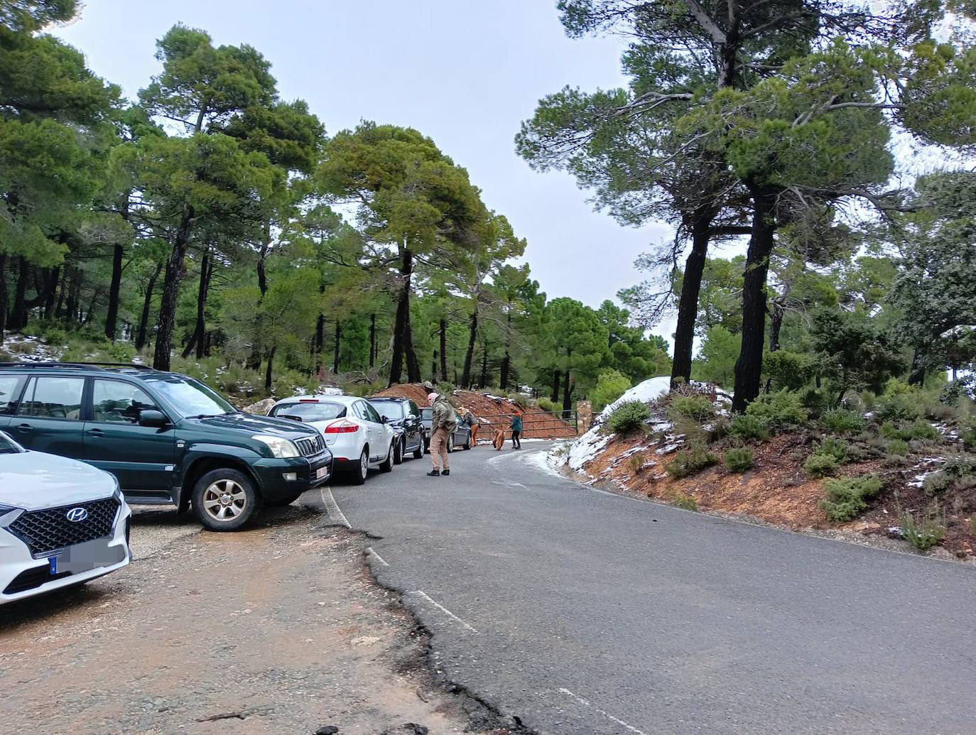 Fotos: Sierra Espuña amanece teñida de blanco tras dos días de nieve