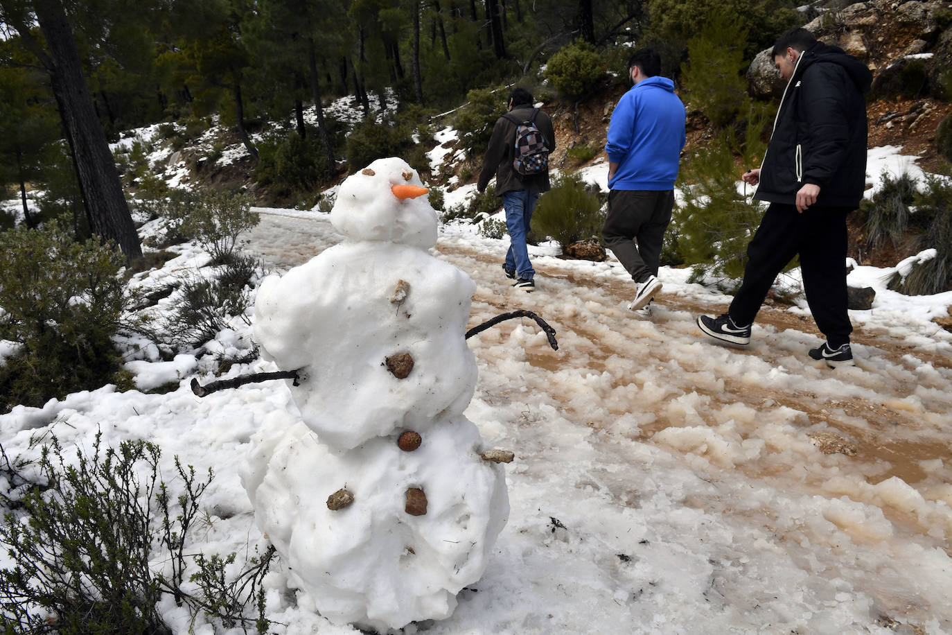 Fotos: Sierra Espuña amanece teñida de blanco tras dos días de nieve