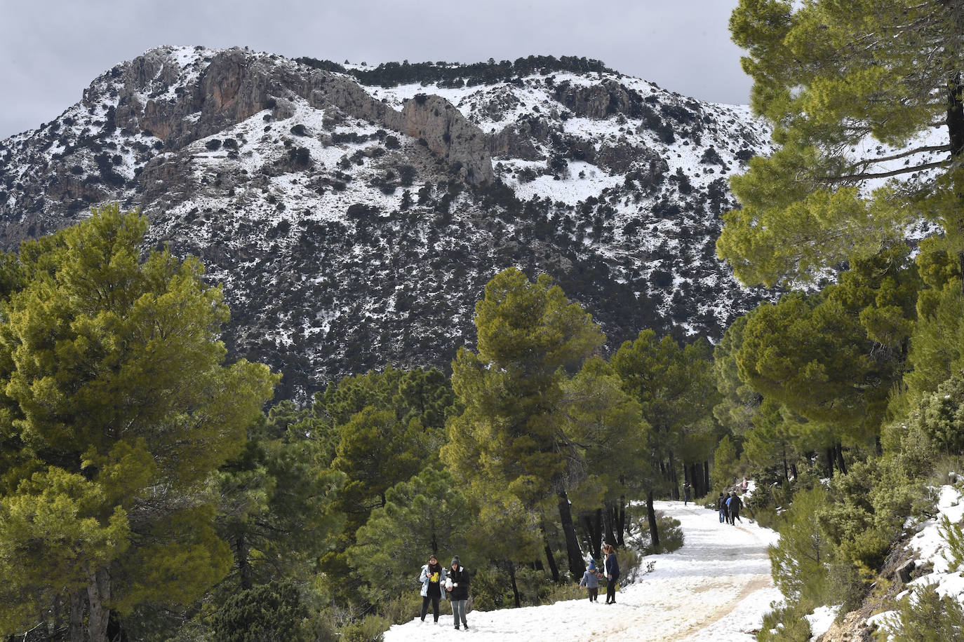 Fotos: Sierra Espuña amanece teñida de blanco tras dos días de nieve