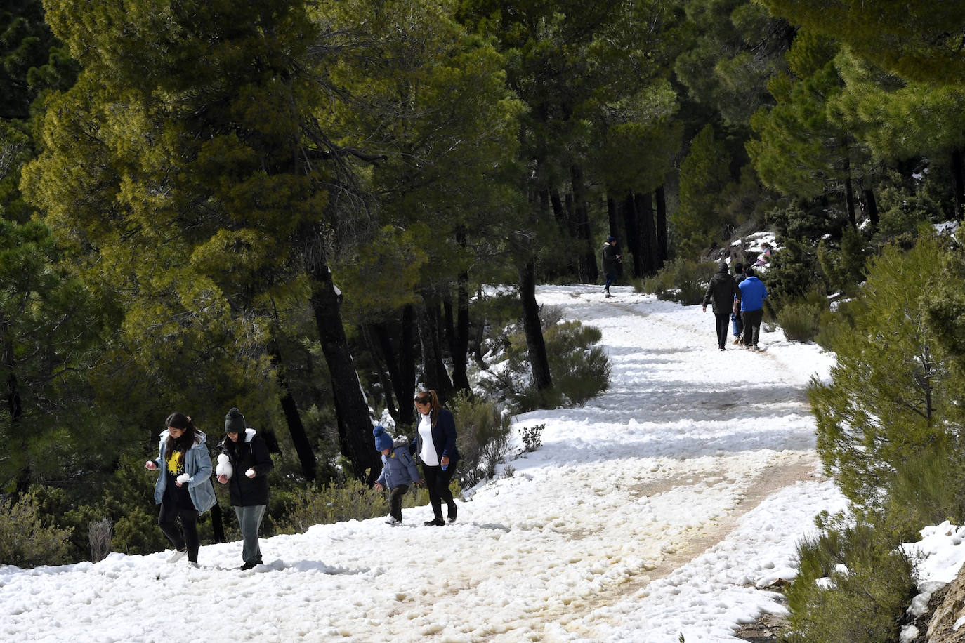 Fotos: Sierra Espuña amanece teñida de blanco tras dos días de nieve