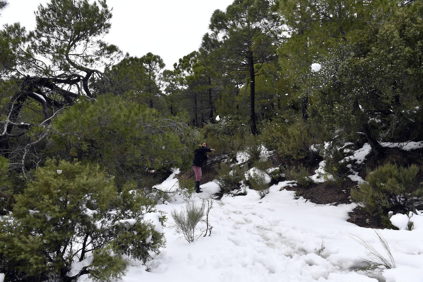 Fotos: Sierra Espuña amanece teñida de blanco tras dos días de nieve