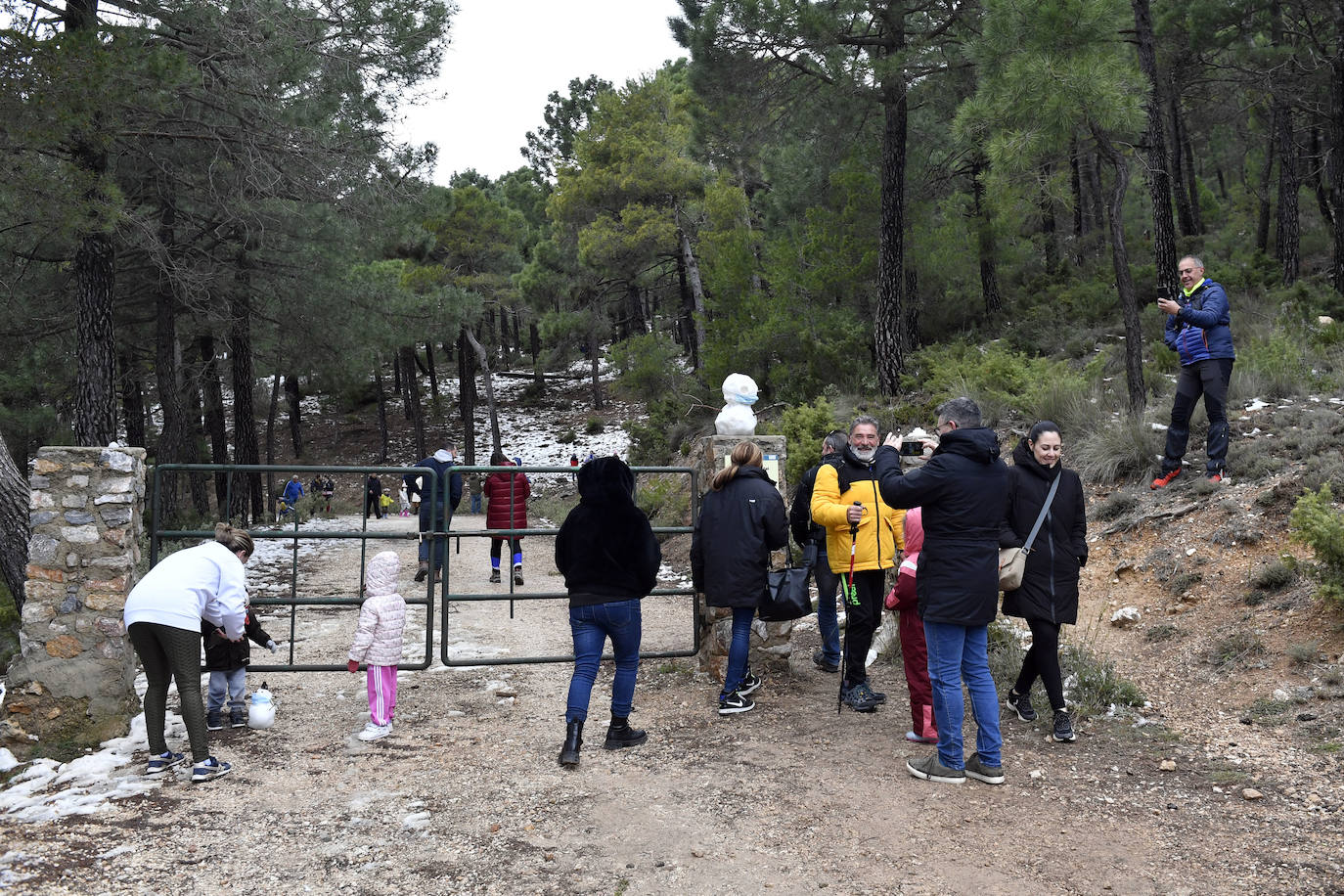 Fotos: Sierra Espuña amanece teñida de blanco tras dos días de nieve