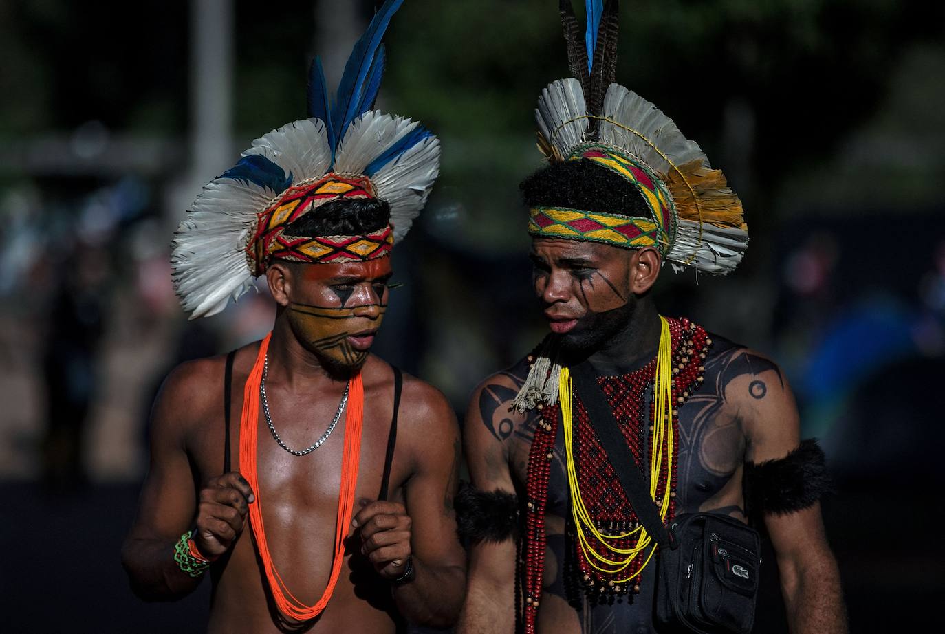 Fotos: Indígenas de la tierra libre