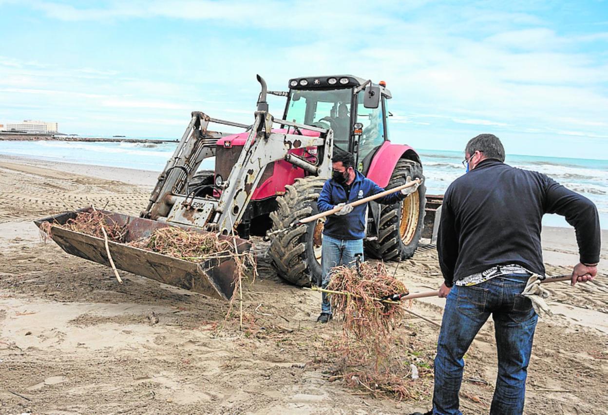 Un vehículo retira restos de la tormenta en La Manga. 