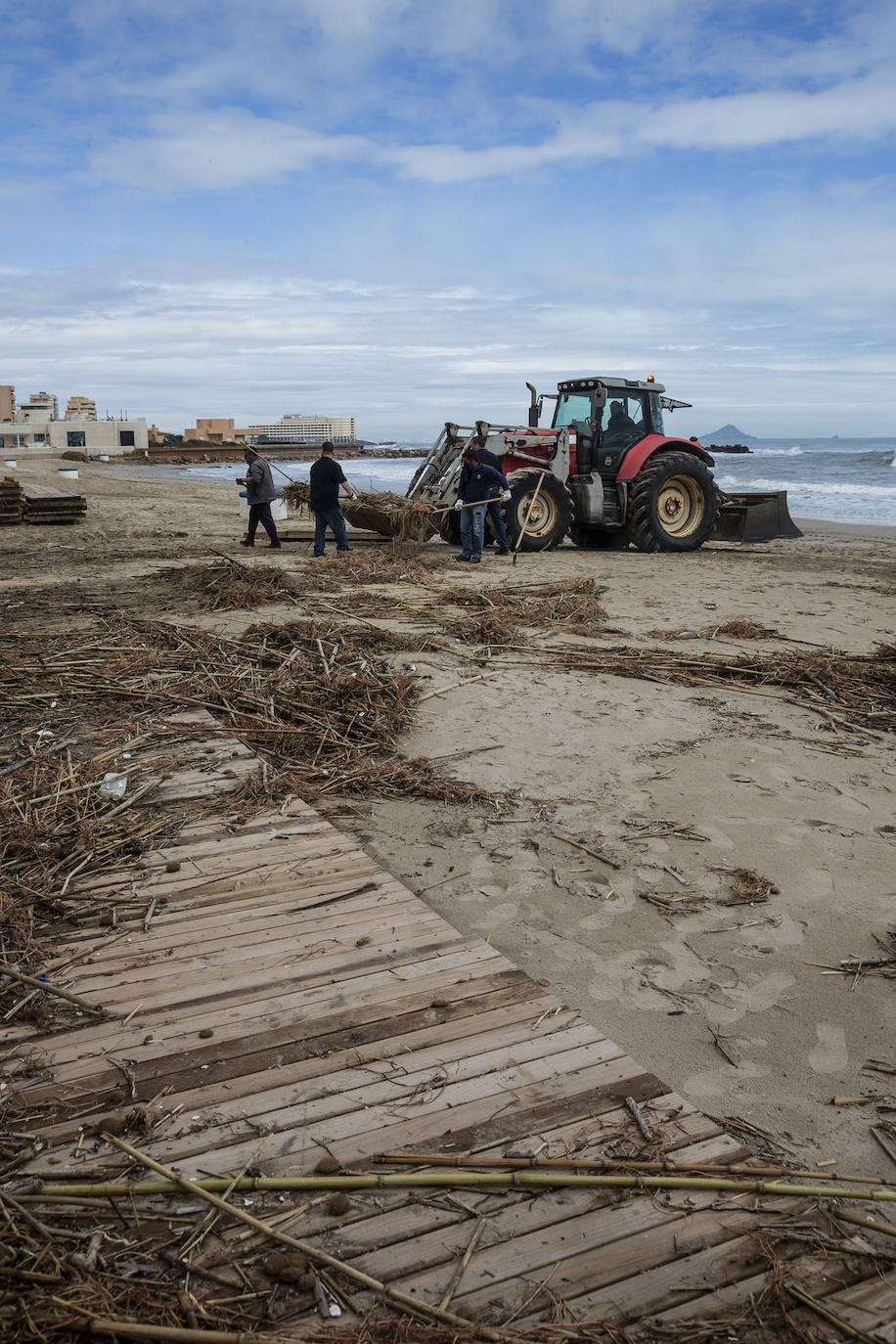 Fotos: Trabajo contra reloj para adecentar las playas de la Región