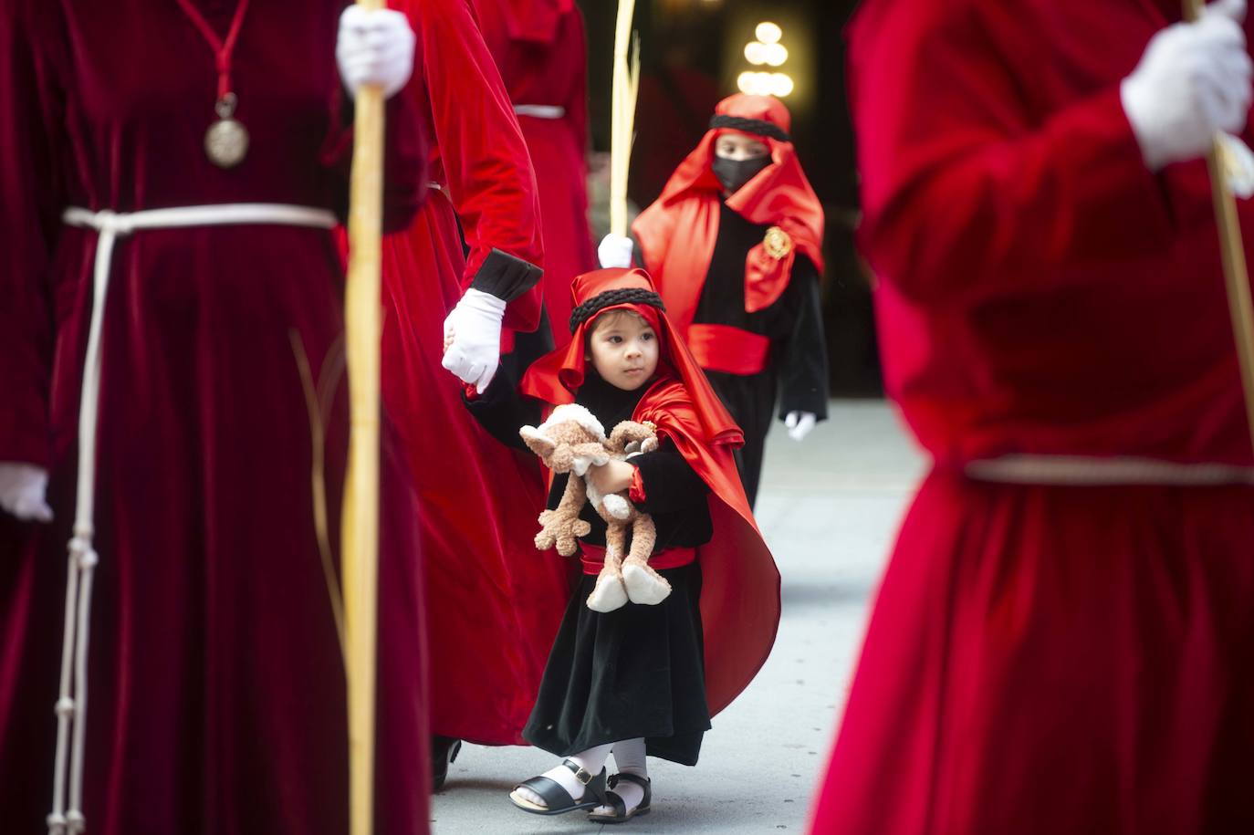 Fotos: Un mar de palmas guía a Jesús a Jerusalén