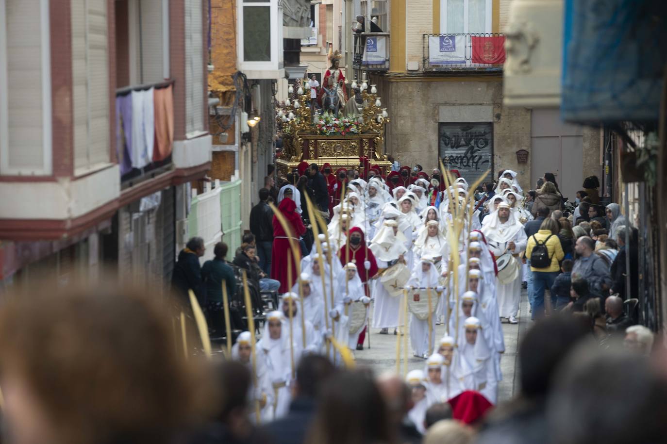Fotos: Un mar de palmas guía a Jesús a Jerusalén