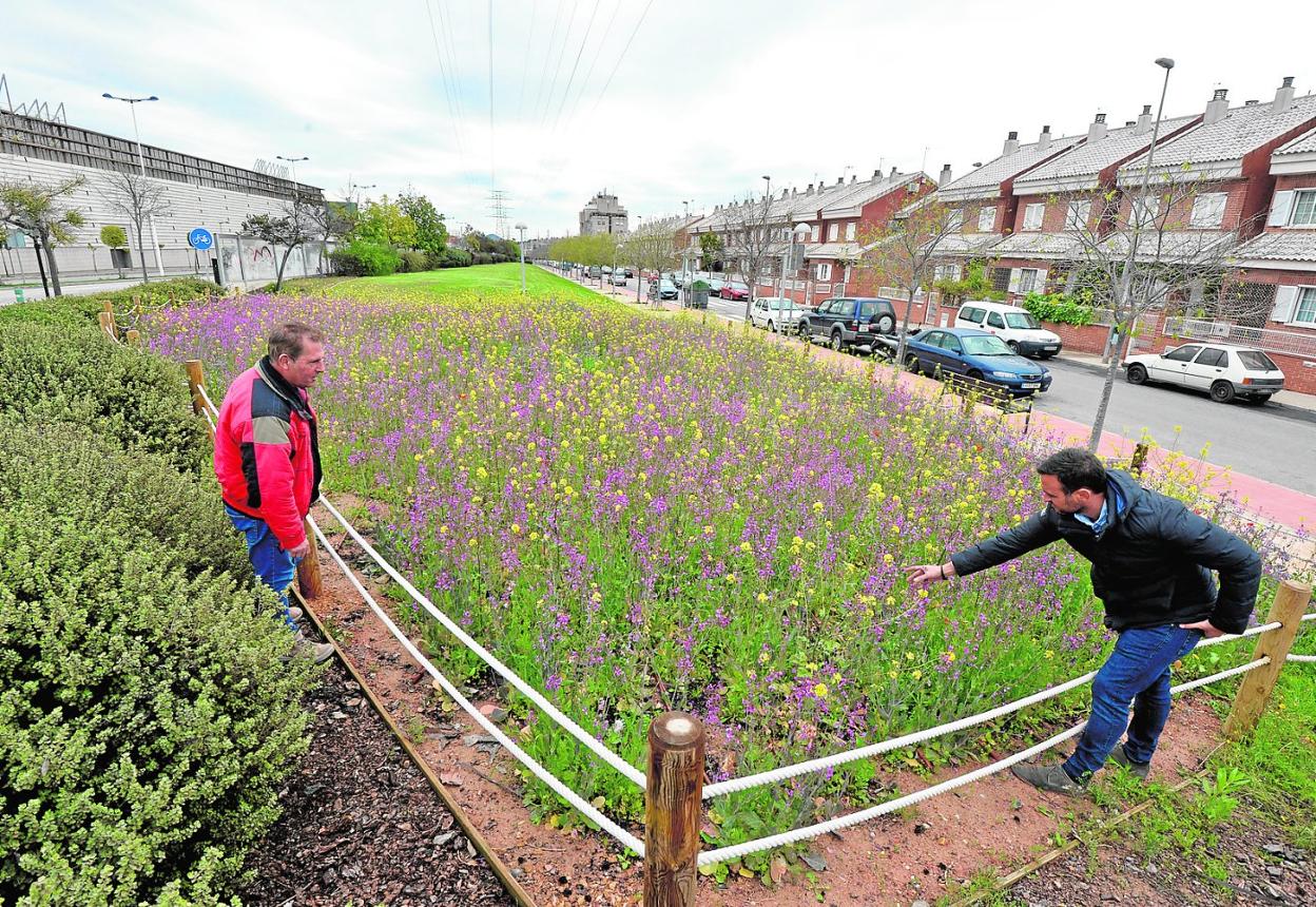 El técnico Enrique Huelves (d) y el vigilante Francisco Martínez inspeccionan la pradera cromática de Los Rectores, junto a la Costera Norte. 