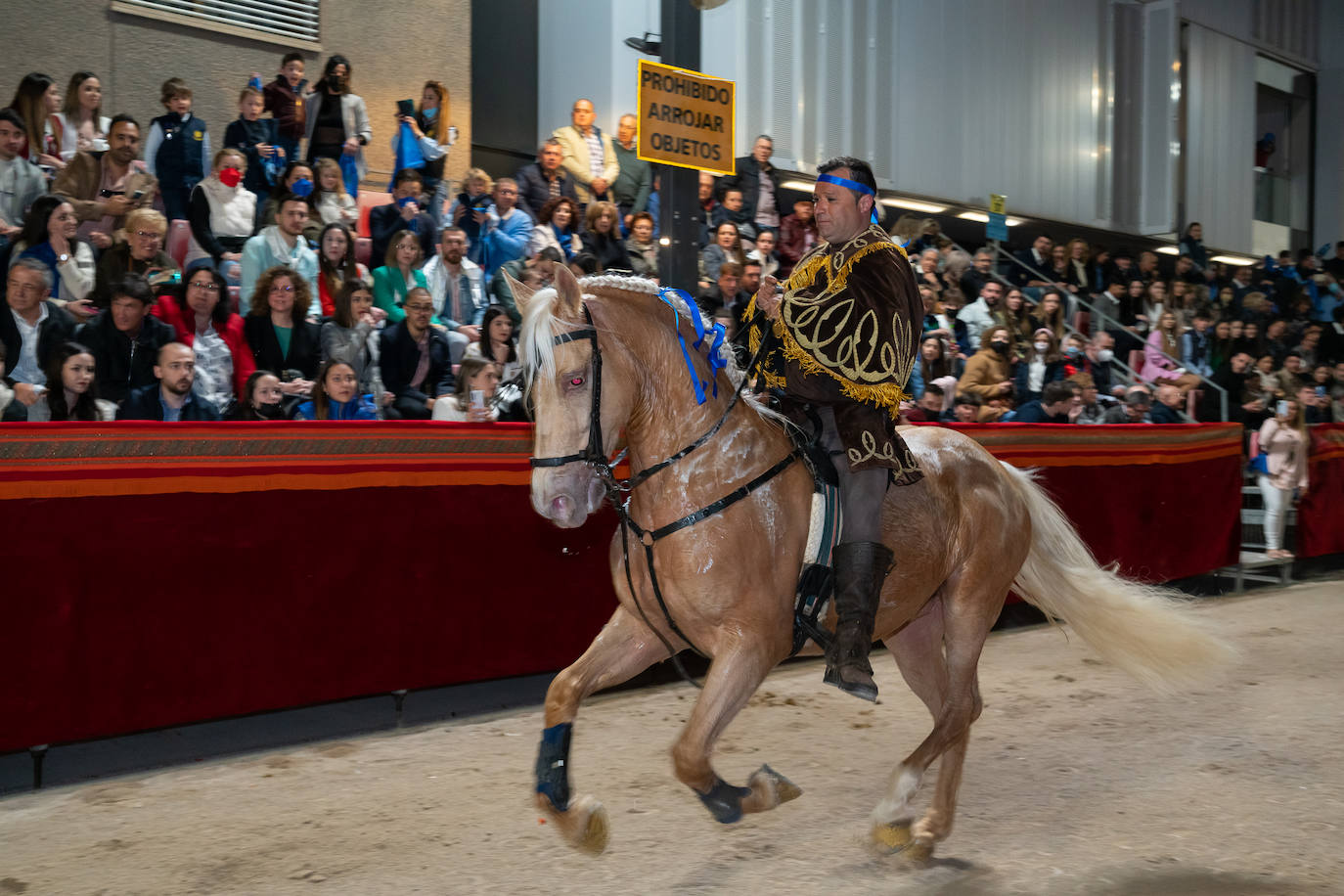 Fotos: El lujo de Egipto en la procesión azul de Domingo de Ramos