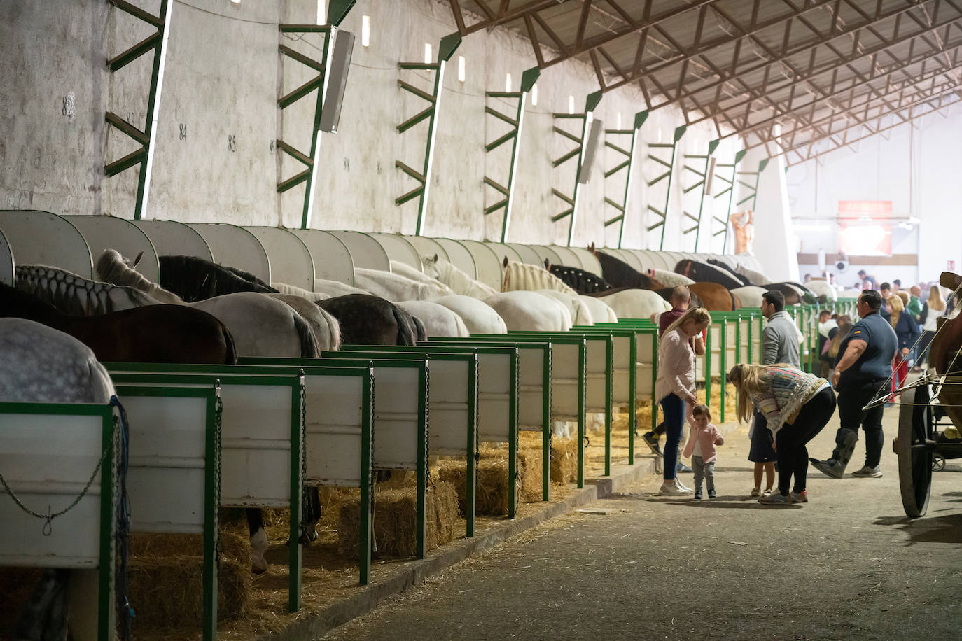 Fotos: Ataviados para alcanzar la gloria en los desfiles bíblicos de Lorca