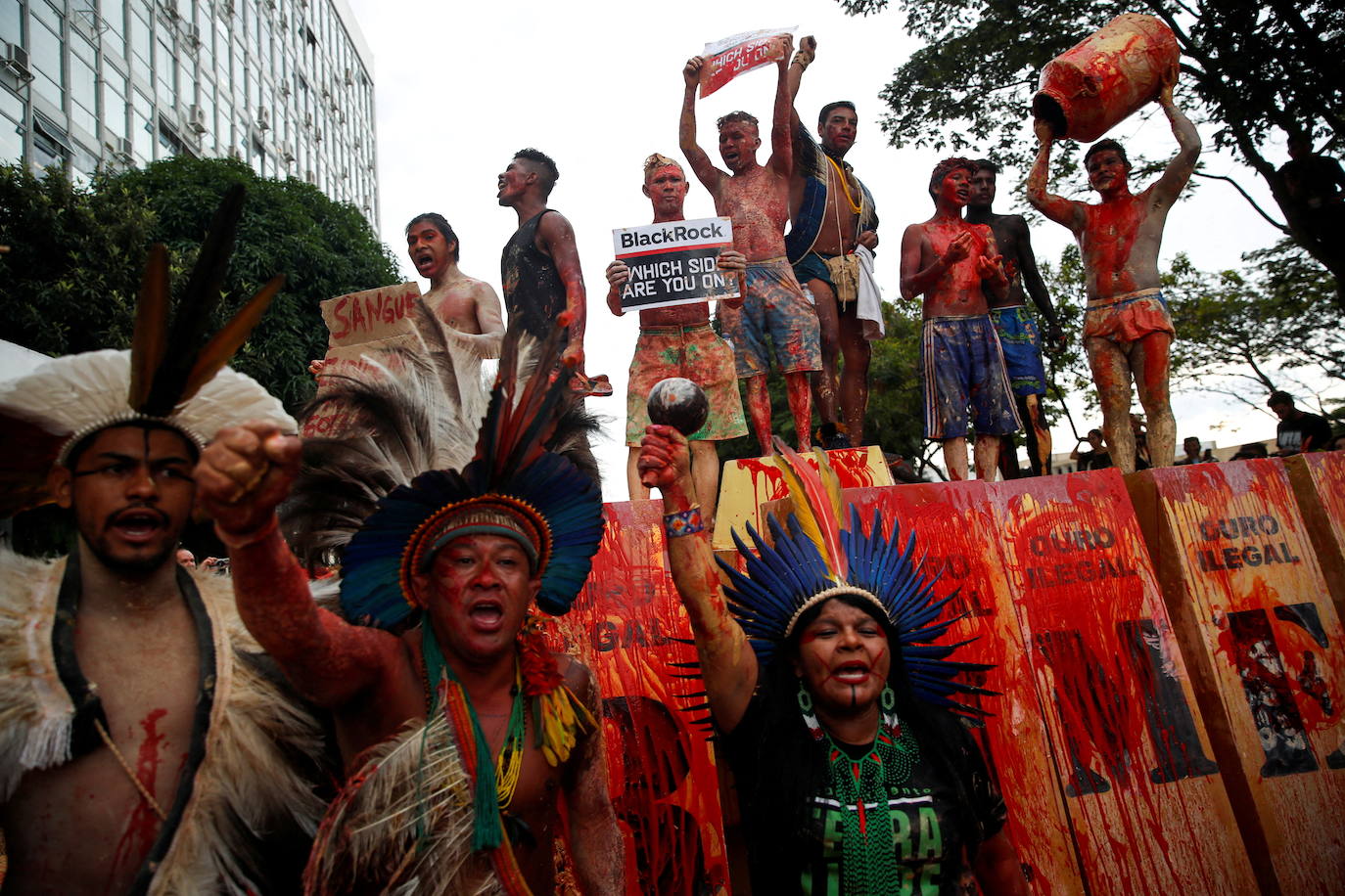 Fotos: Oro de Sangre