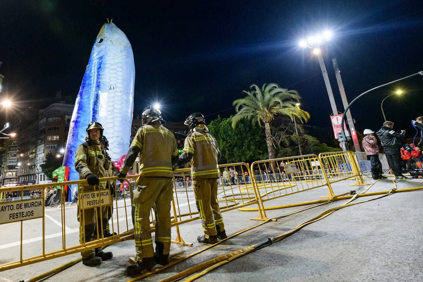 Fotos: Las mejores fotografías del Entierro de la Sardina