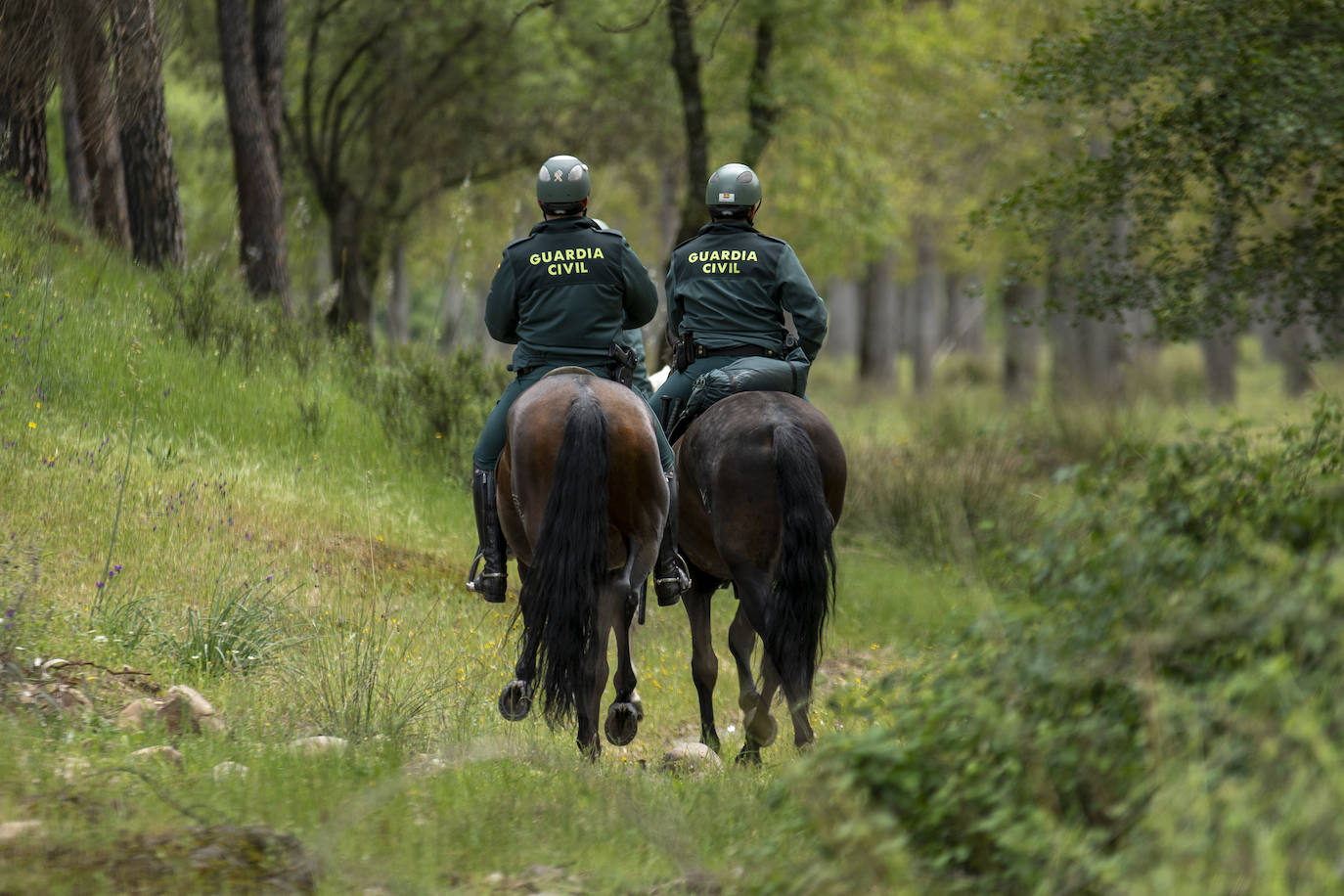 Fotos: El reencuentro de los romeros