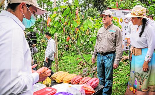 Rodolfo Enrique Zea Navarro, en una plantación de cacao. 