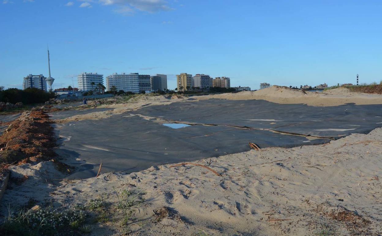 Plásticos utilizados para evitar el rebrote.