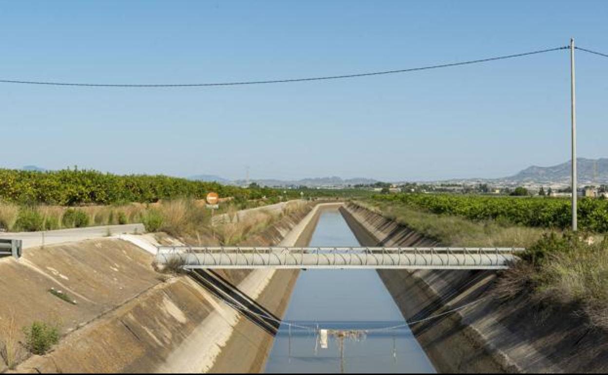 El canal del trasvase a su paso por un huerto de limoneros. 