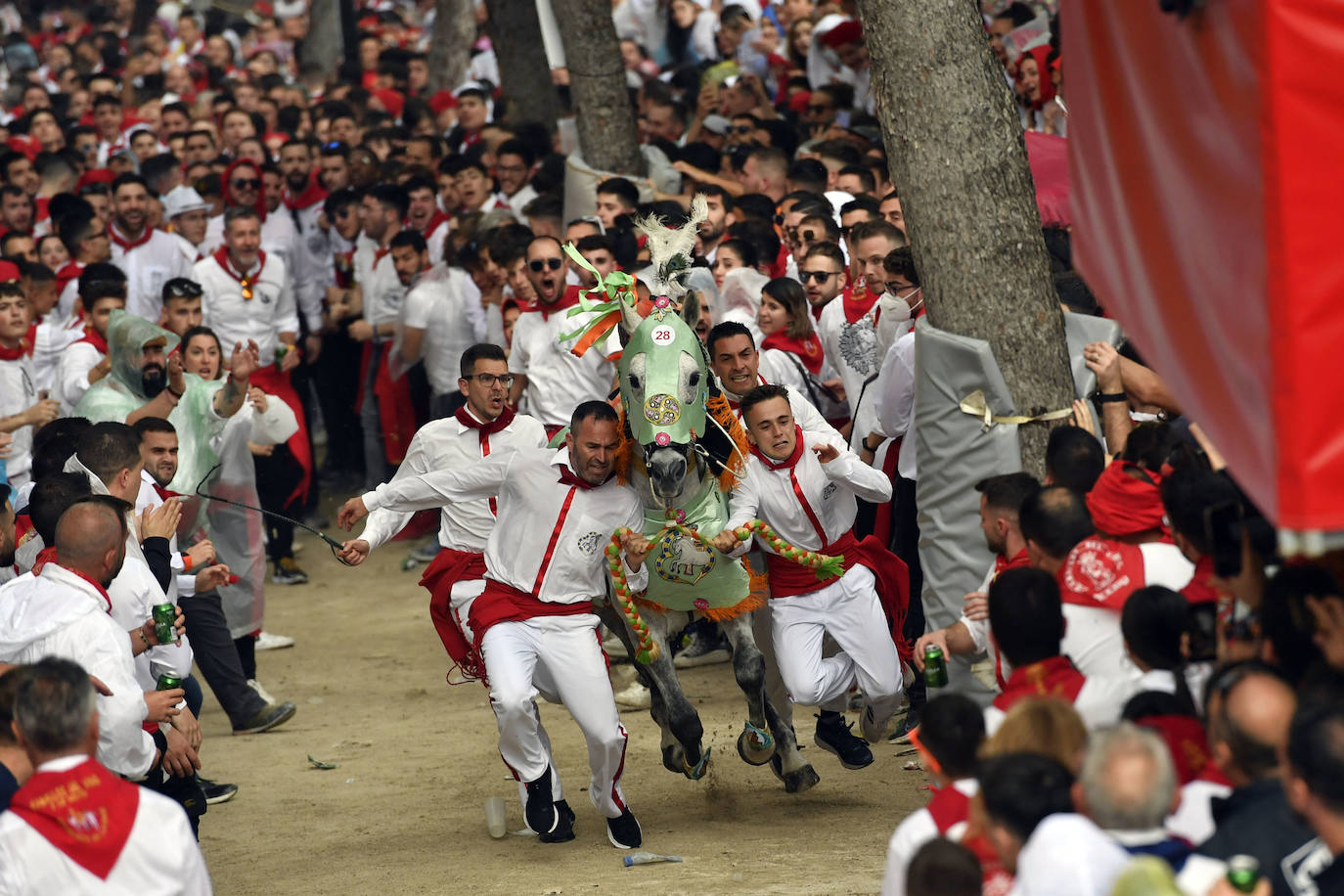 Fotos: Carrera de los Caballos del Vino 2022