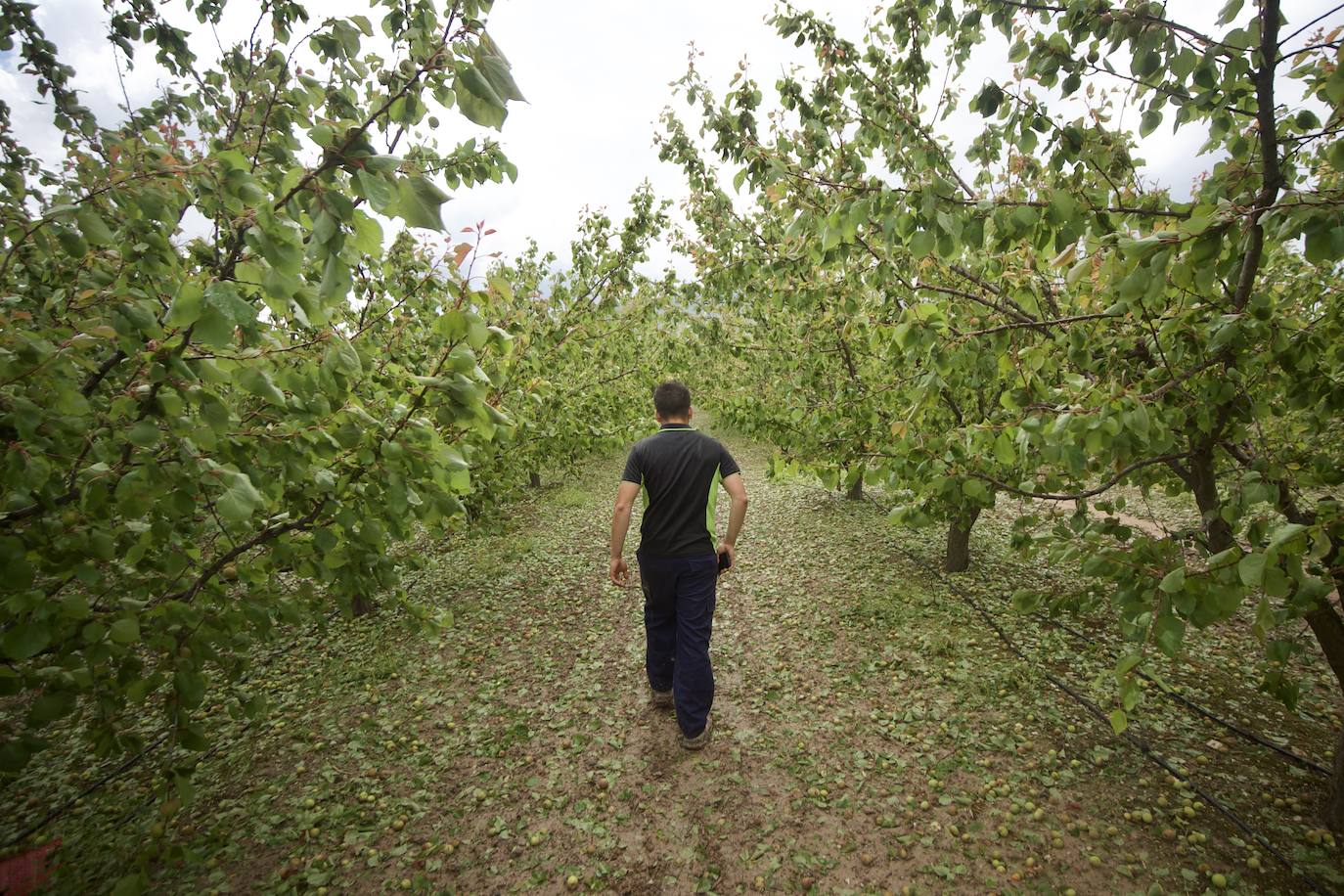 Fotos: Las consecuencias del tornado en Mula