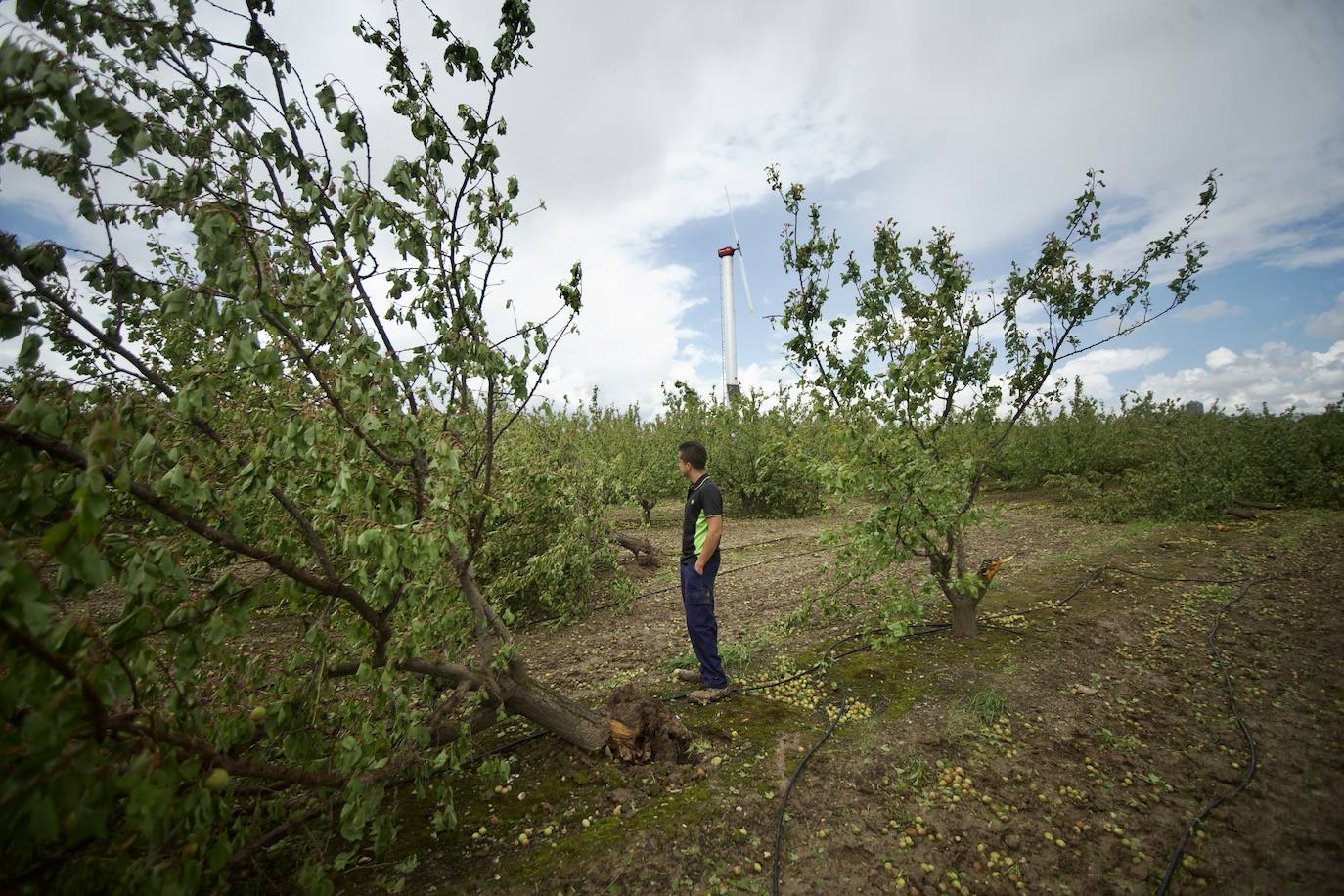 Fotos: Las consecuencias del tornado en Mula