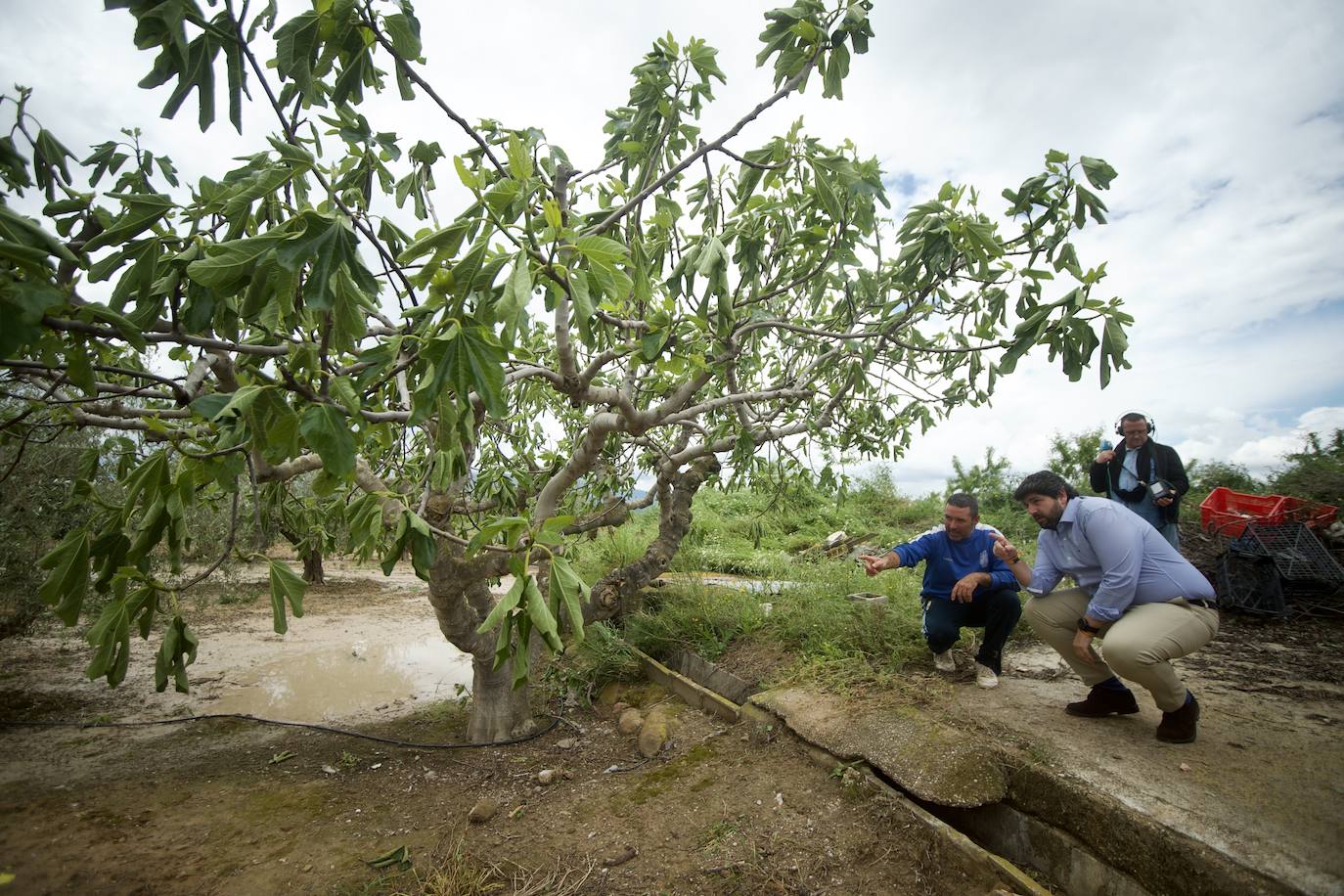 Fotos: Las consecuencias del tornado en Mula