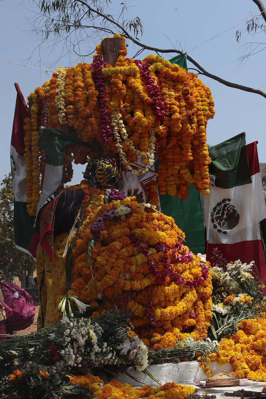 Fotos: Pelea de tigres