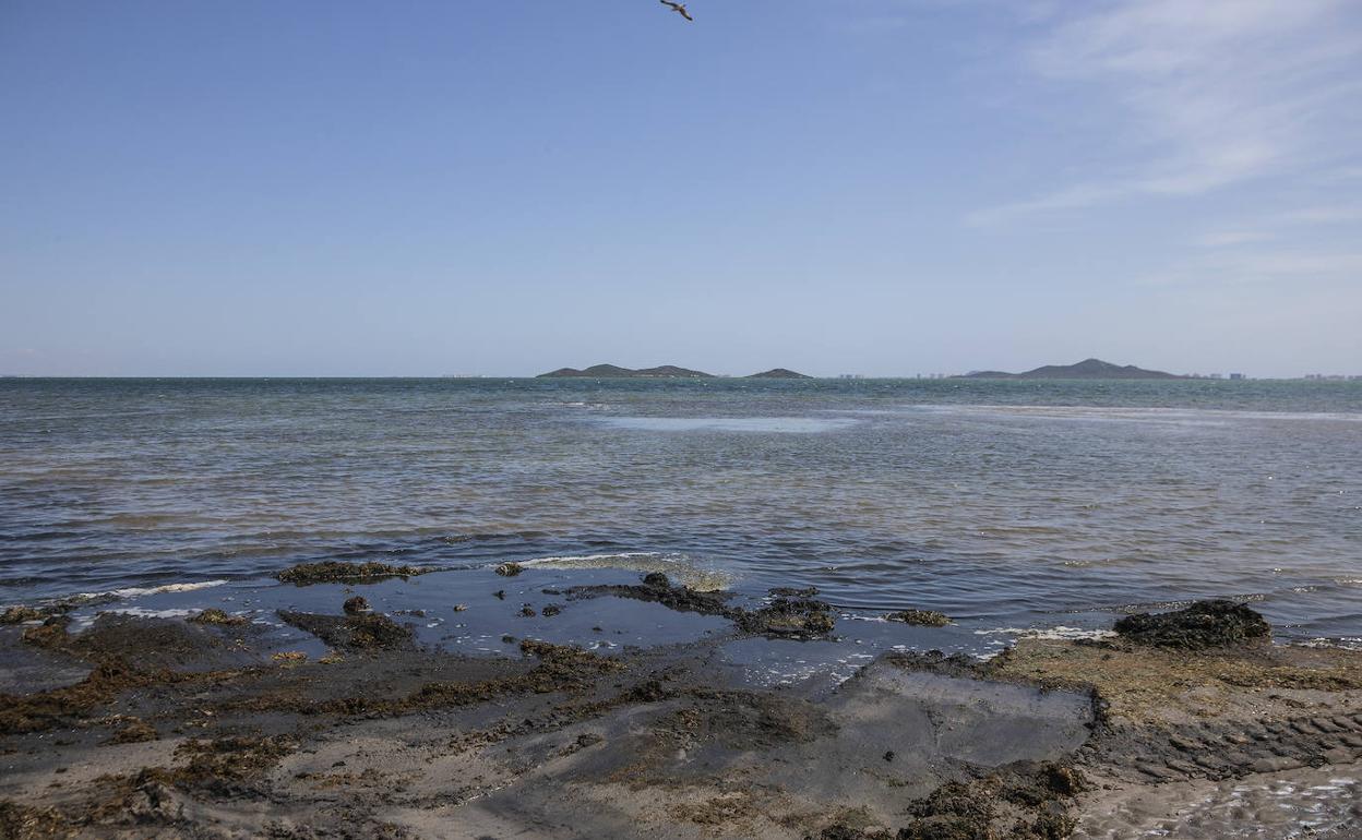 Estado del Mar Menor en la playa de Los Urrutias, el pasado 29 de abril.