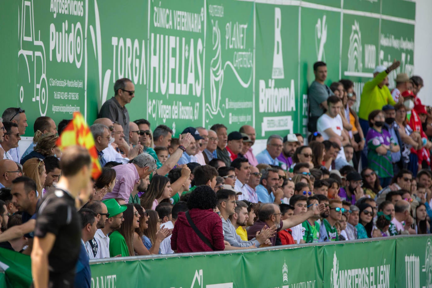 Fotos: La derrota del Real Murcia frente al Mancha Real, en imágenes