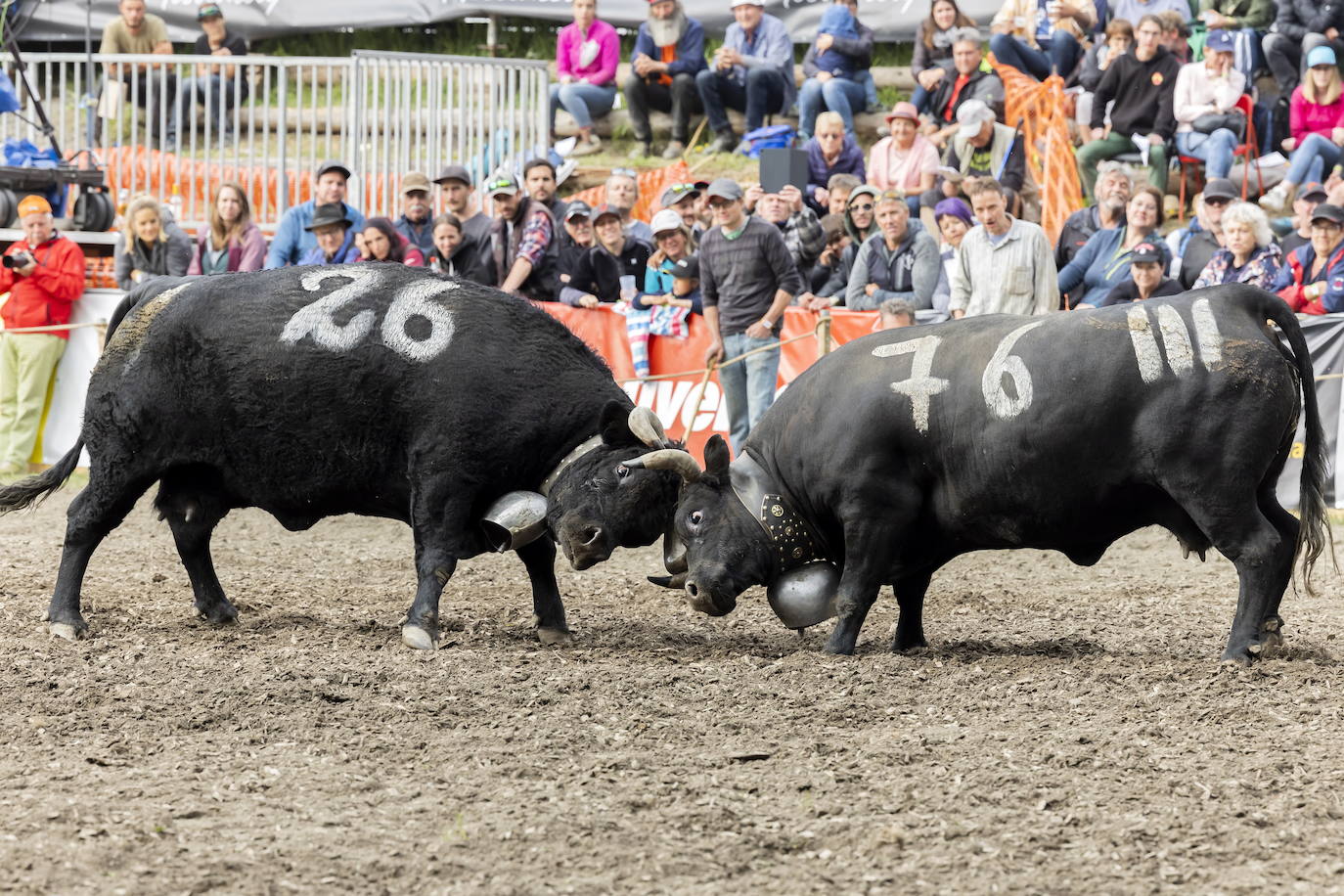 Fotos: Sólo puede quedar una