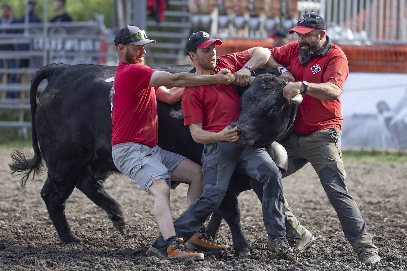 Fotos: Sólo puede quedar una