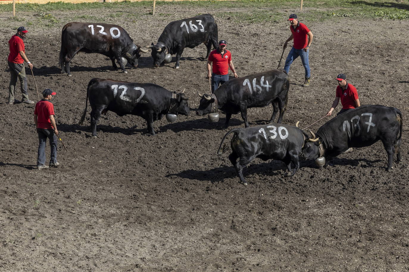 Fotos: Sólo puede quedar una