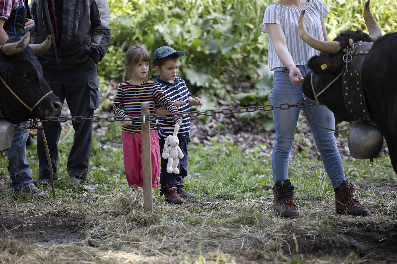 Fotos: Sólo puede quedar una