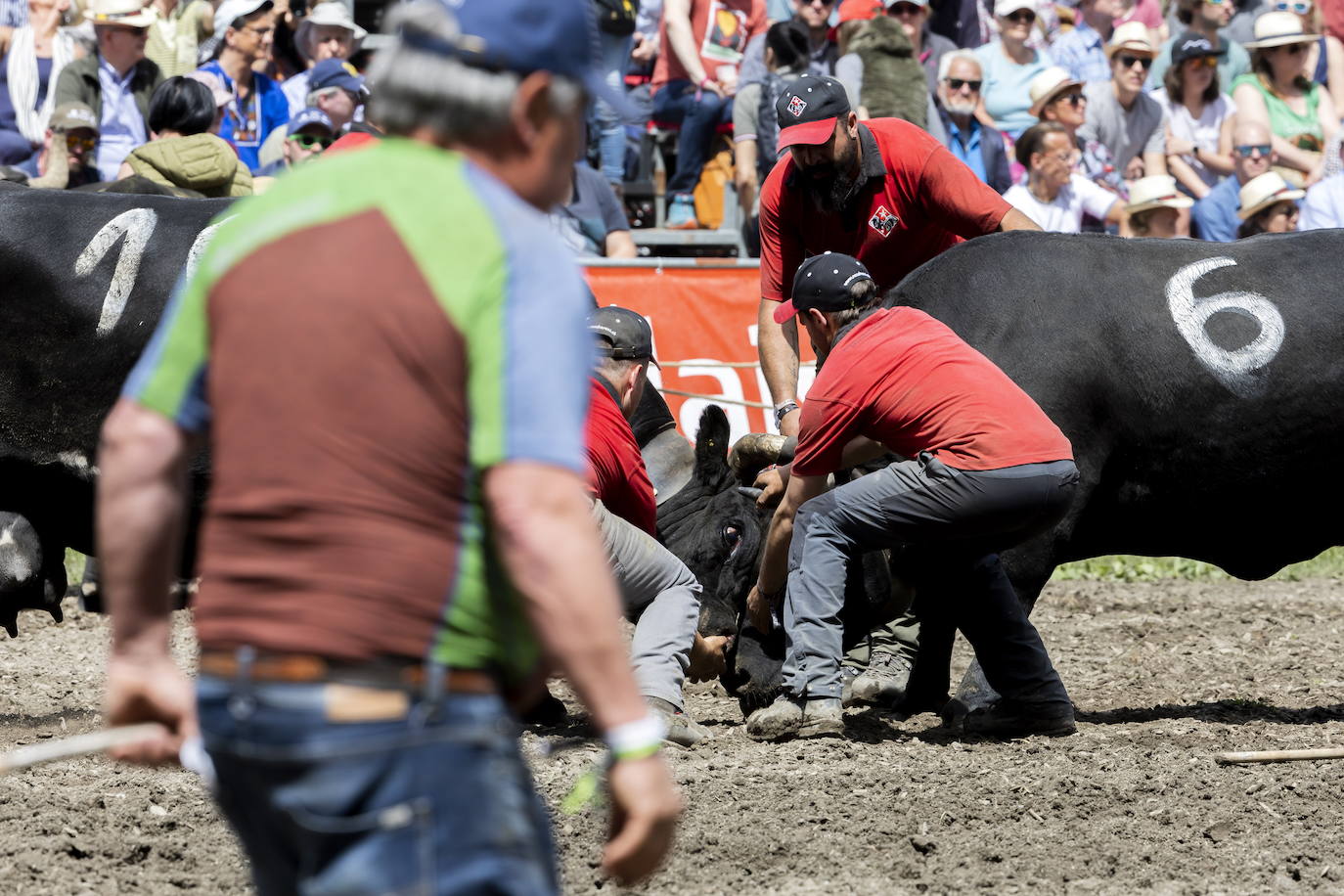 Fotos: Sólo puede quedar una