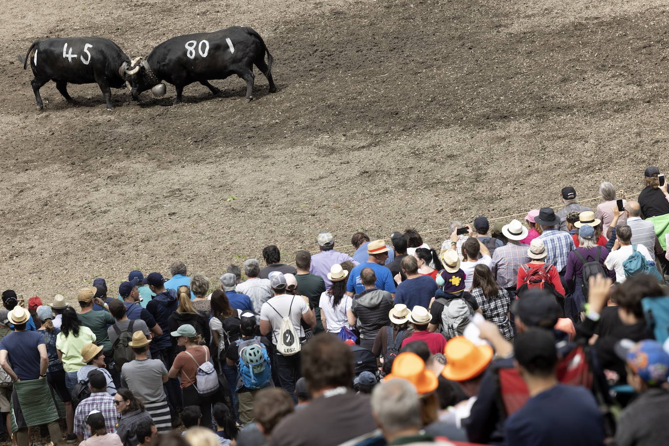 Fotos: Sólo puede quedar una