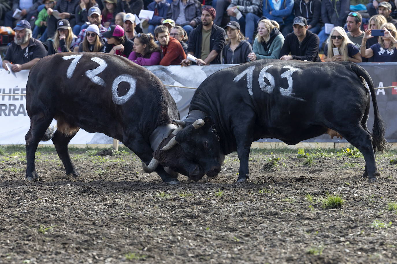 Fotos: Sólo puede quedar una