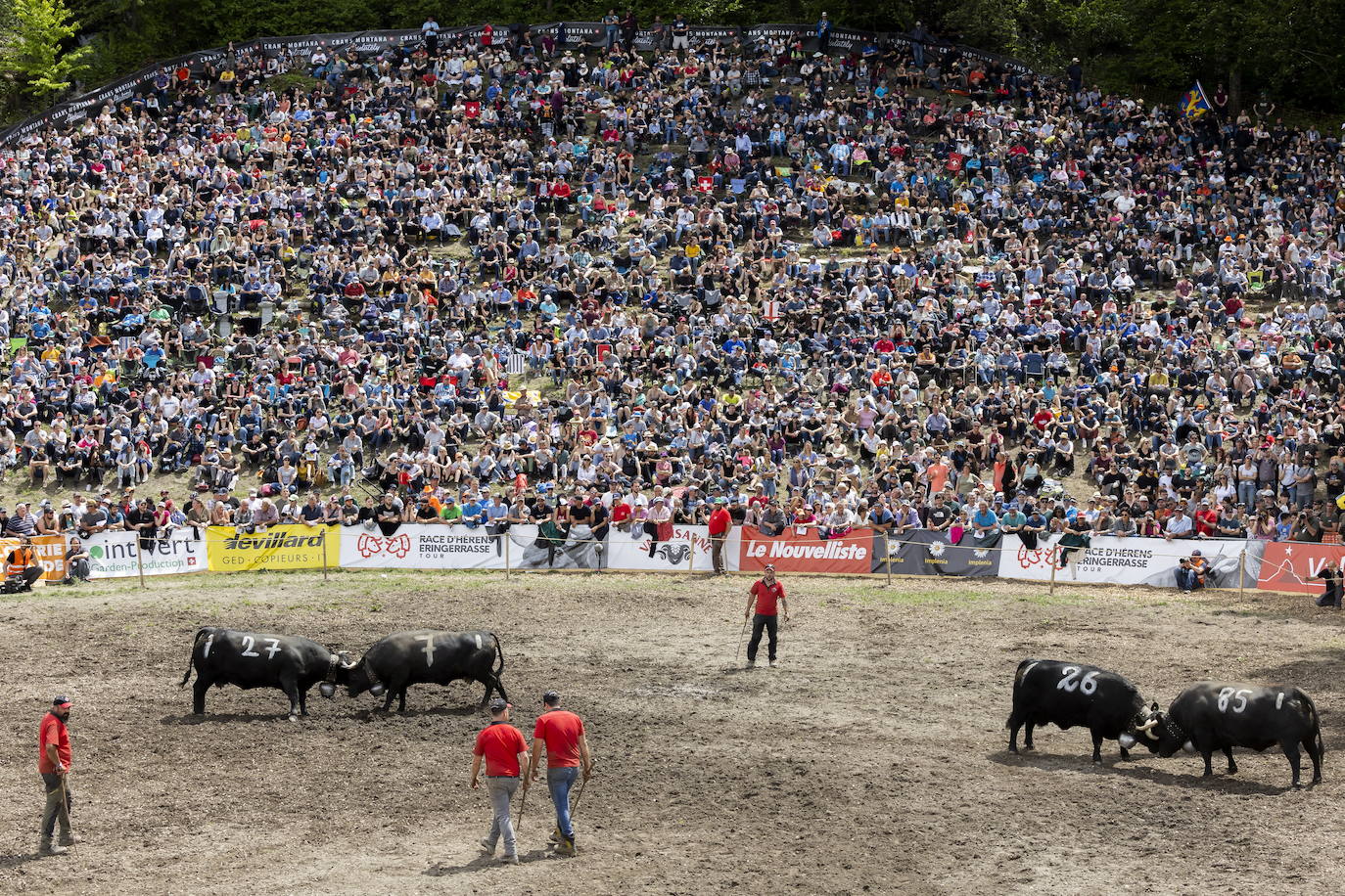 Fotos: Sólo puede quedar una